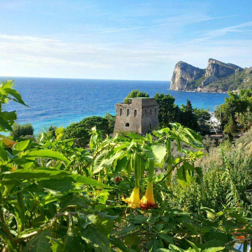 Camping Villaggio Nettuno Nerano Bagian luar foto